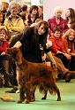 Crufts2010 1596